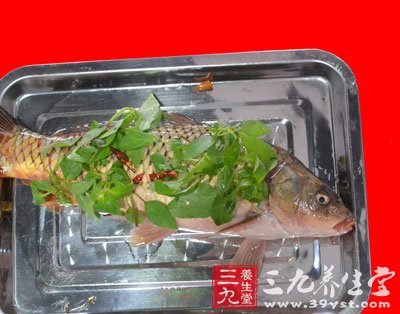 保健品魚(yú)油扛不住的概念