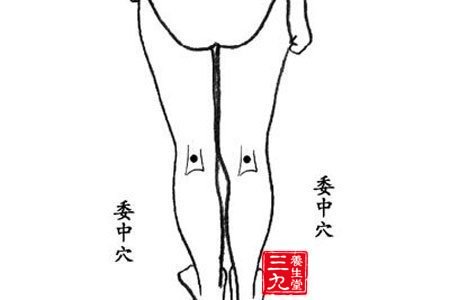 四、舒服腰背：按摩委中穴