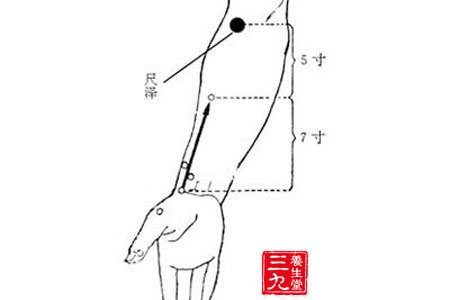 十二：散热去痛：按摩尺泽穴