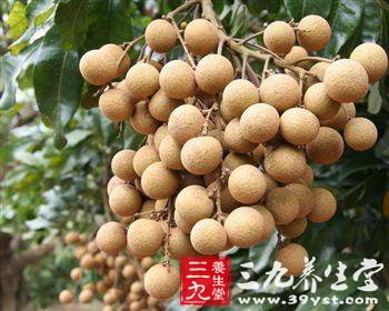 桂圆的功效与作用 补益气血效果好