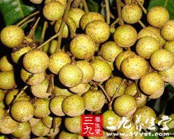 桂圆的功效与作用 补益气血效果好