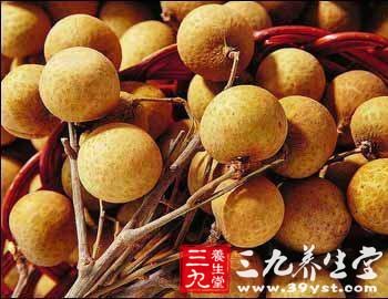 桂圆的功效与作用 补益气血效果好