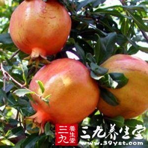 石榴的功效 石榴有没有美容功效