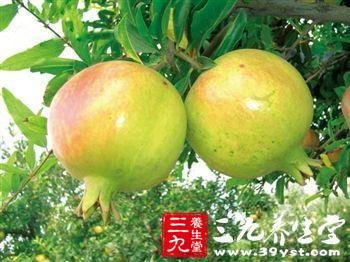 石榴的功效 石榴有没有美容功效