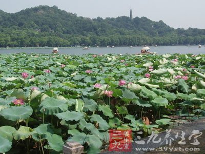 国内十个秋天旅行圣地