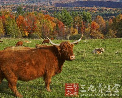 国内夏天九大清凉旅行圣地