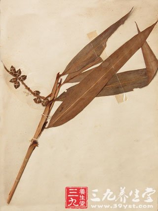 谈谈脾肾阳虚型疾病中医推荐食疗方