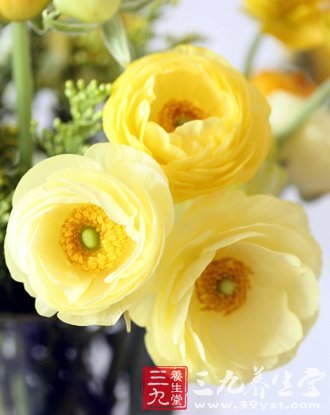 24节气之白露饮食风俗有讲究