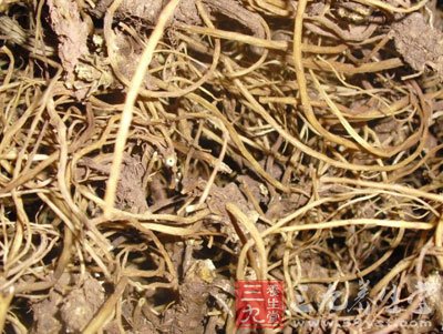 中草药之龙胆草功效