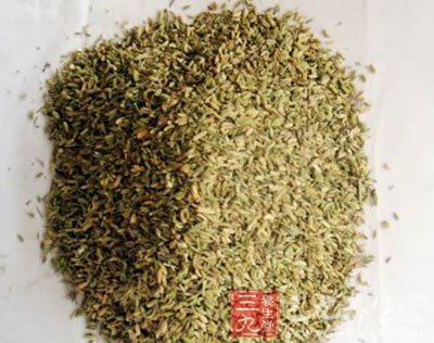 中草药之小茴香功效和作用