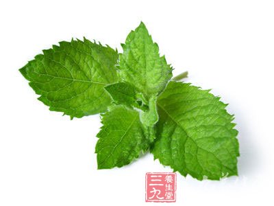 薄荷的功效与作用(2)