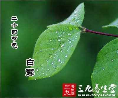 在白露节气吃些什么好