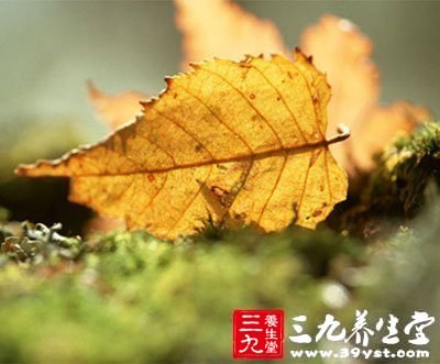 24節(jié)氣養(yǎng)生法 白露時期如何護身