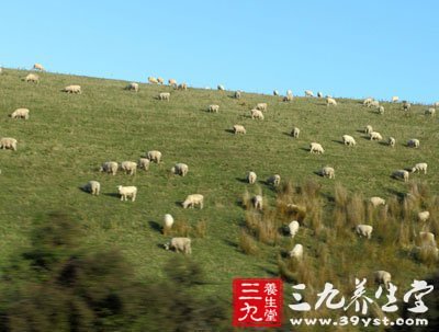 國慶旅游攻略看到就不舍離開的美景