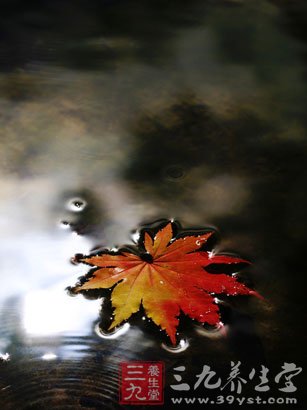 国庆旅游你想去赏枫吗 盘点全球枫叶美景