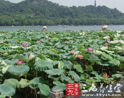 十一旅游的旅游天堂