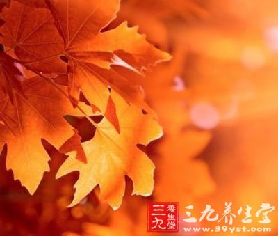 24節(jié)氣養(yǎng)生法之秋分時(shí)期怎么養(yǎng)生