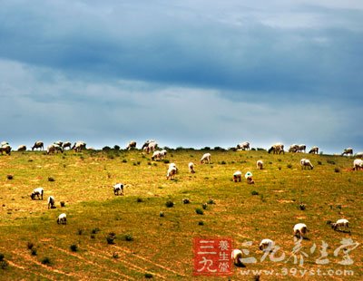 十一旅游推荐 国内外秋季美景大盘点