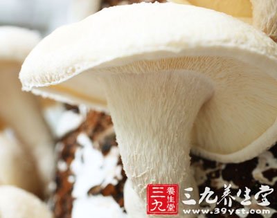 8种家常食物吃错致中毒 严重或丧命