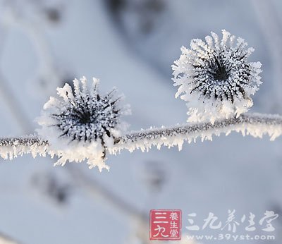 立冬為冬日始 養(yǎng)生保健要跟上