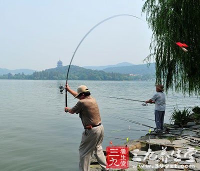 想要钓大鱼 9种传统鱼饵供你选择