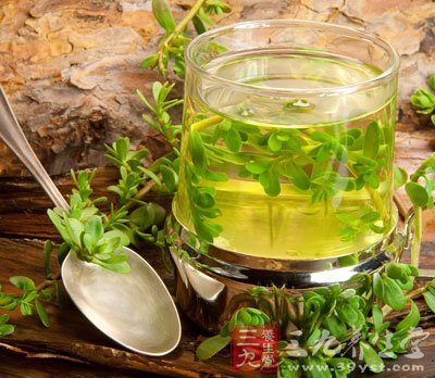 绿茶中的精品 崂山茶(4)