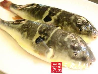 十大食物“狠毒”部位 對身體致命傷害