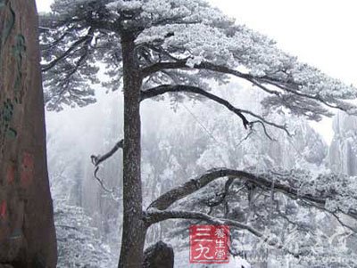 浪漫不失美丽的7名山雪景