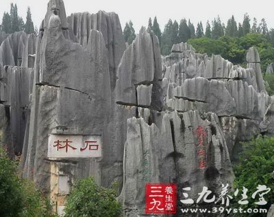 情侣必看 蜜月旅行钱包不减肥