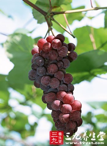 感冒吃什么水果好呢