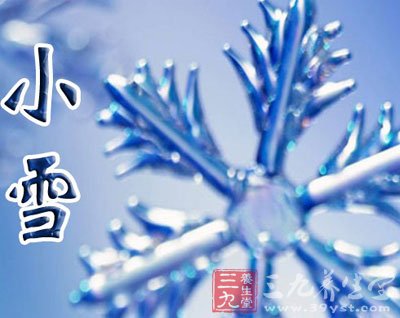 小雪节气的简单介绍