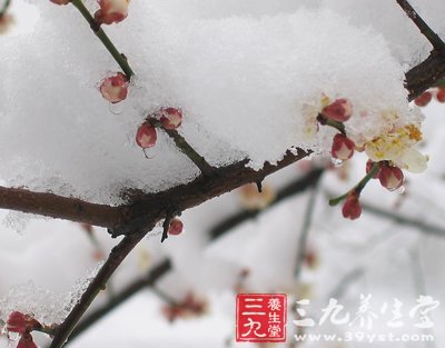 小雪節(jié)氣飲食起居攻略