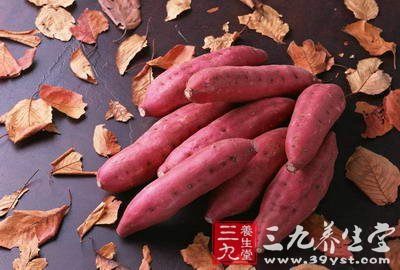 我们来说说地瓜