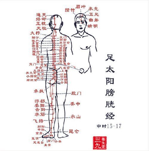荐 足太阳膀胱经穴位图