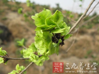民间禁忌和阴阳常识
