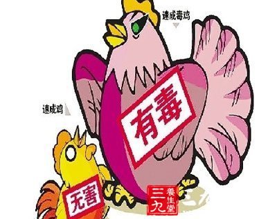 麦当劳采购速成鸡 教你如何辨别速成鸡(3)