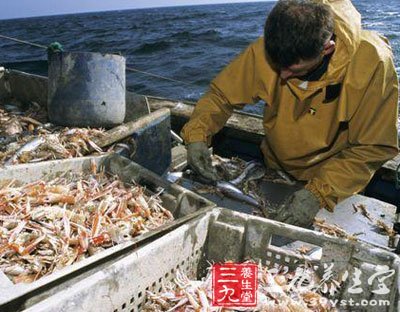 海釣魚餌過貴中國(guó)海釣迷自制