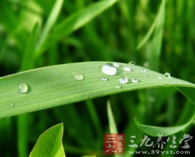 什么是雨水節(jié)氣