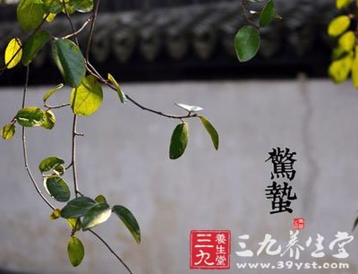 驚蟄是24節(jié)氣中的第三個節(jié)氣