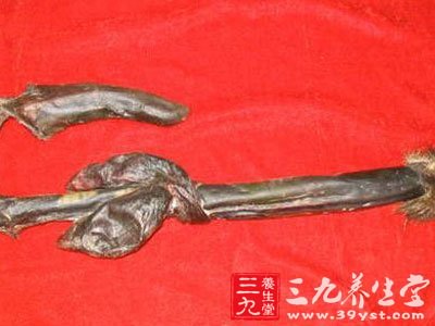 不孕症的各种秘方之五