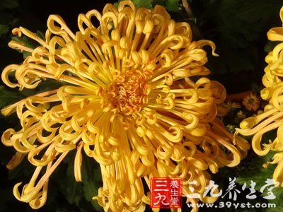 治疗<em>白发</em>的<em>偏方</em>31-三九养生堂