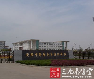 安徽_三九养生堂站内搜索