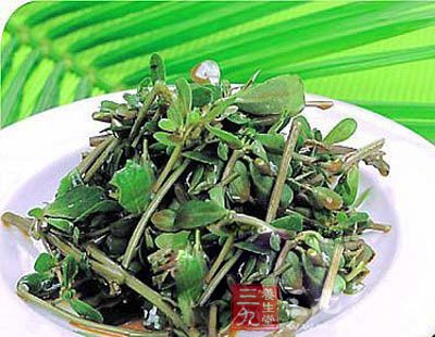 蒜泥马齿苋