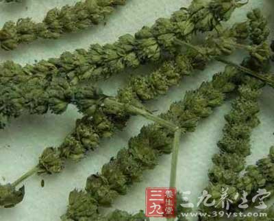 荨麻疹方一