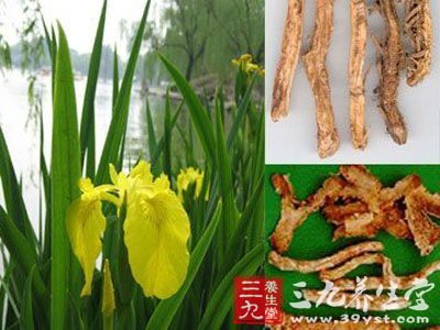 慢性骨髓炎中药方剂