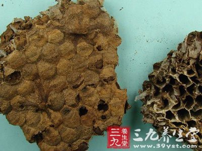 乳腺小叶增生中药方剂