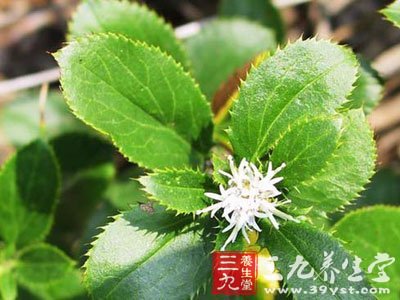 膝关节滑膜炎中药方剂