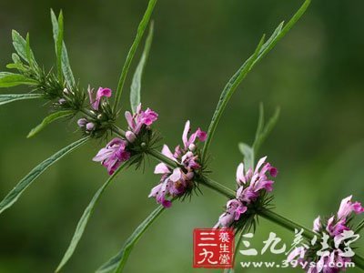 治疗不孕症的偏方19