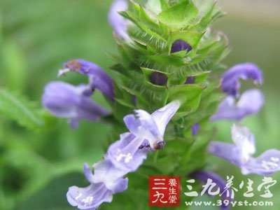 治疗肺结核的偏方7