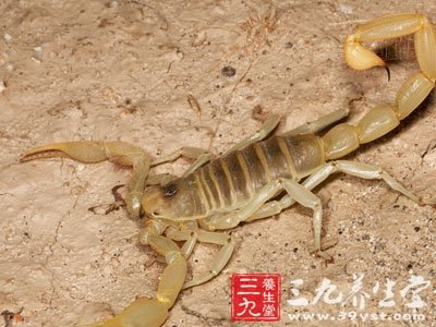 慢性病毒性肝炎中药方剂